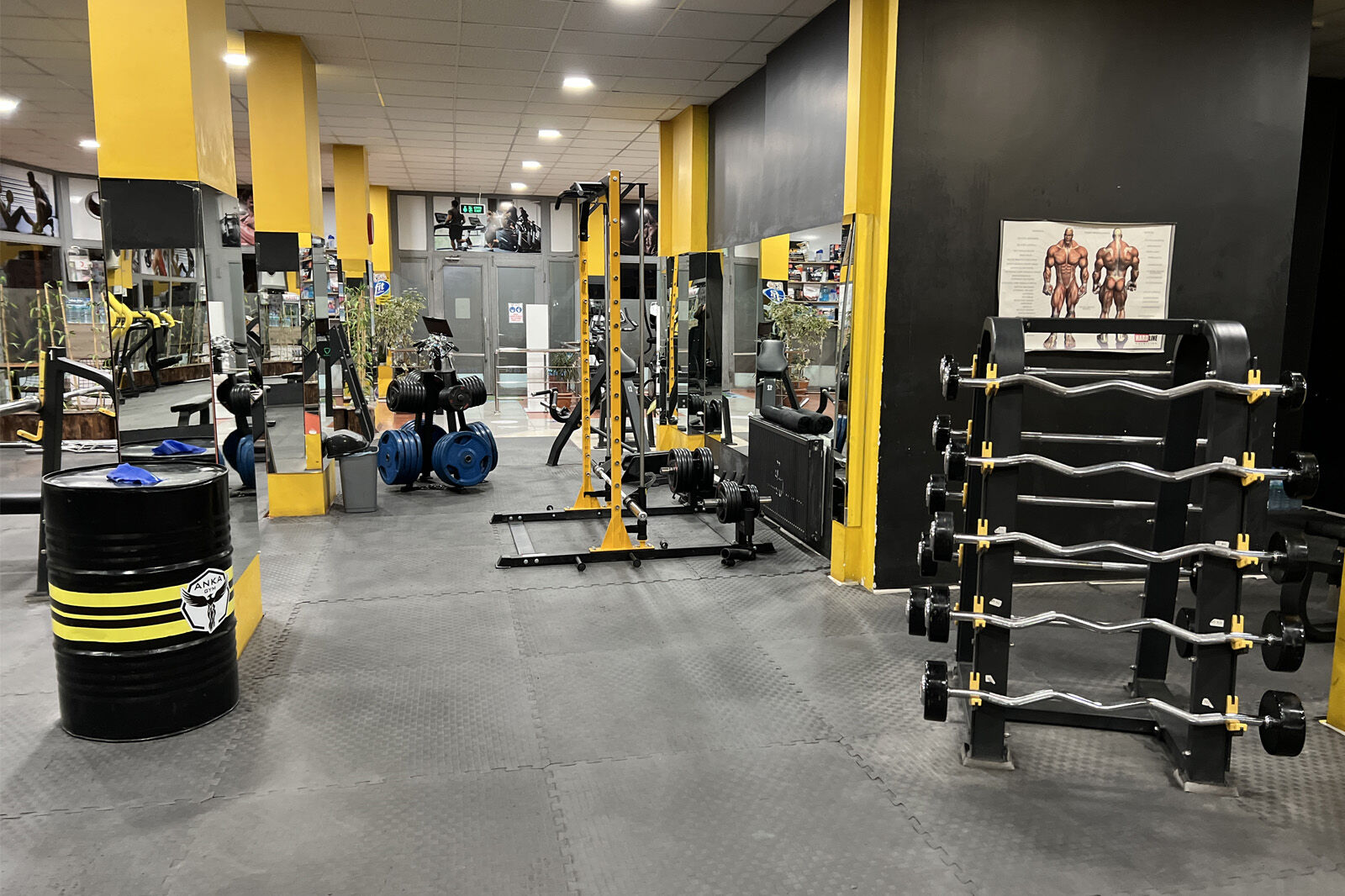 Anka Sports Club Albayrak kulübü, fotoğraf 2
