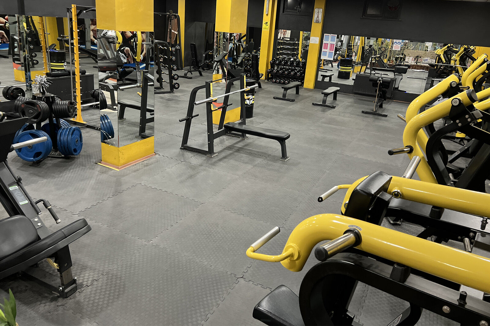 Anka Sports Club Albayrak kulübü, fotoğraf 14