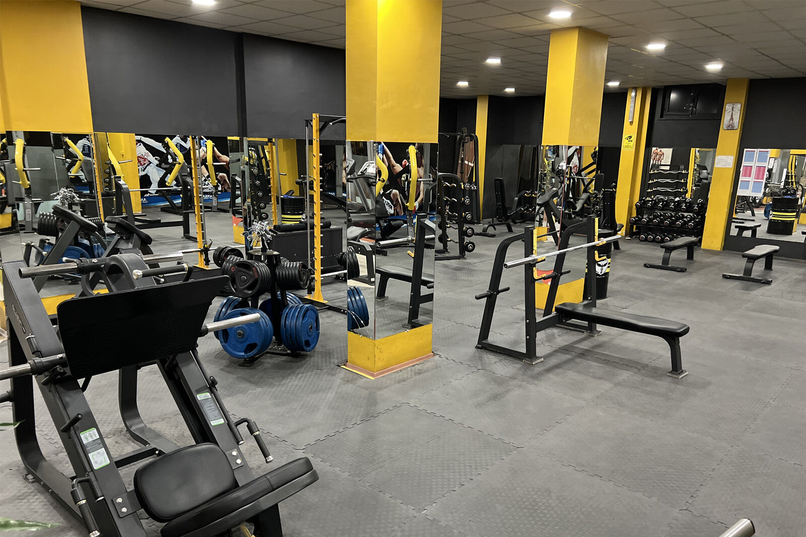 Anka Sports Club Albayrak kulübü, fotoğraf 15