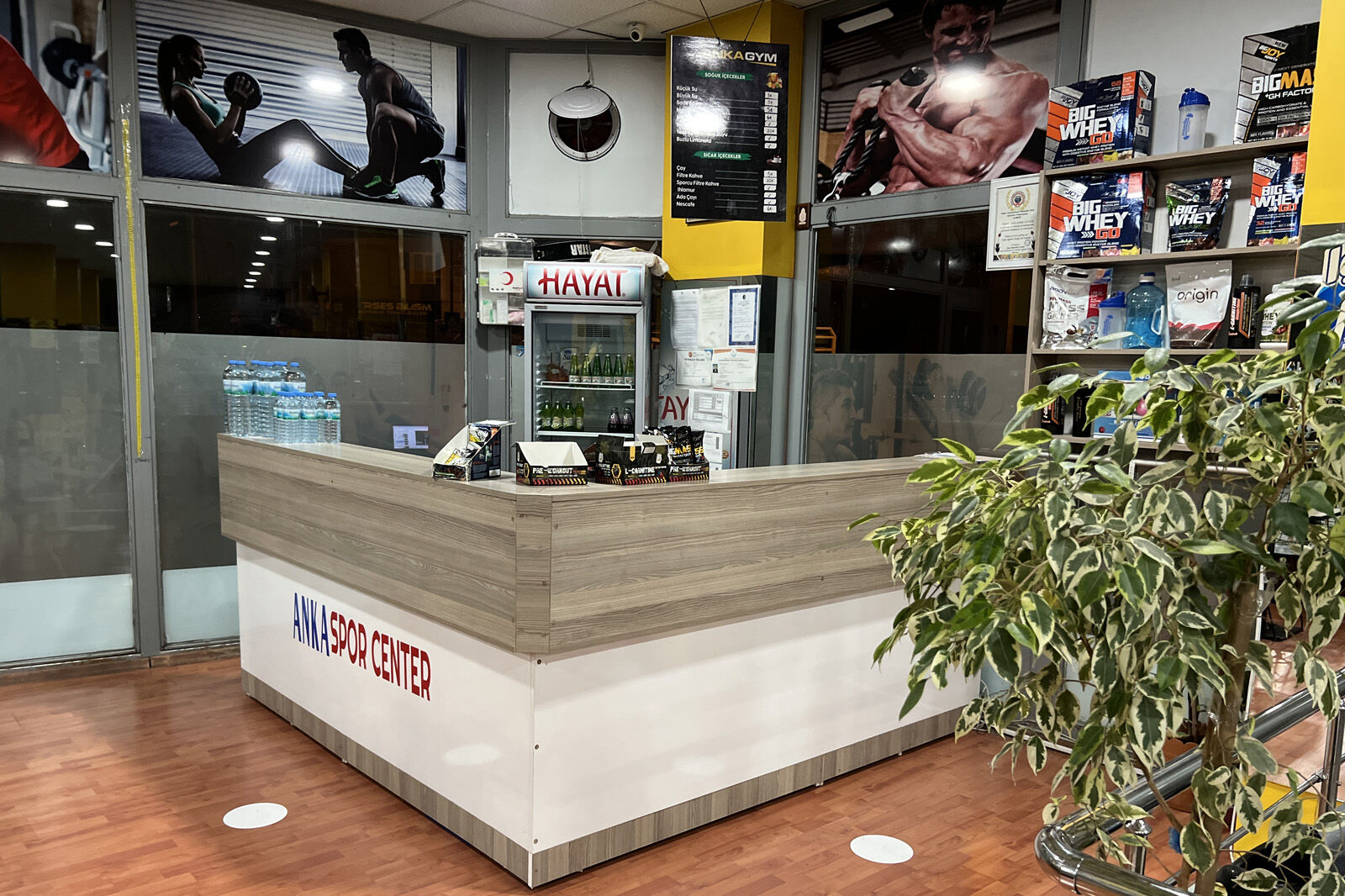 Anka Sports Club Albayrak kulübü, fotoğraf 16